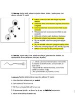 Konspekts 'Šūnu dalīšanās', 2.