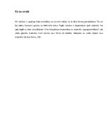 Referāts 'Jaunākie tehnoloģiju sasniegumi', 25.