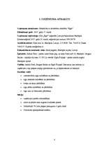 Biznesa plāns 'SIA "Egle"', 4.