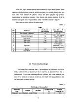 Biznesa plāns 'SIA "Egle"', 13.