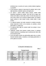 Biznesa plāns 'SIA "Egle"', 19.