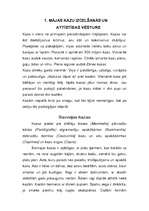 Referāts 'Kazas - viss par kazām', 2.