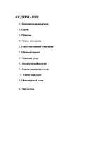 Biznesa plāns 'Бизнес-план автомагазина "Alden Auto"', 2.