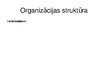 Prezentācija 'Organizācijas X sociāli psiholoģiskais raksturojums', 3.