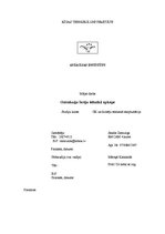 Referāts 'Gaisakuģu šasiju tehnikā apkope', 1.