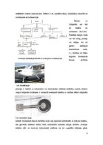 Referāts 'Gaisakuģu šasiju tehnikā apkope', 8.