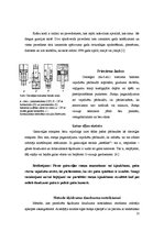 Referāts 'Gaisakuģu šasiju tehnikā apkope', 11.