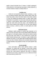 Referāts 'Gaisakuģu šasiju tehnikā apkope', 13.