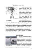 Referāts 'Gaisakuģu šasiju tehnikā apkope', 15.