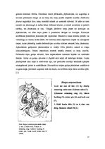 Referāts 'Gaisakuģu šasiju tehnikā apkope', 17.