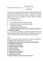 Referāts 'Uzņēmuma "X" bankrota prognozēšana', 13.