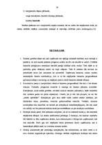 Referāts 'Uzņēmuma "X" bankrota prognozēšana', 29.