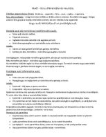 Konspekts 'Audi', 1.