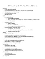 Konspekts 'Audi', 3.