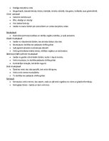 Konspekts 'Audi', 4.