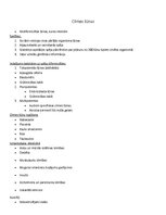 Konspekts 'Audi', 5.