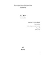 Biznesa plāns 'Māla medaļas', 1.