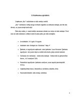 Biznesa plāns 'Māla medaļas', 4.