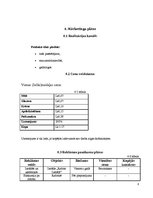 Biznesa plāns 'Māla medaļas', 8.