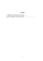 Prakses atskaite 'Prakses atskaite "Corvus Company" SIA', 3.