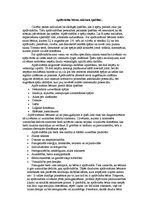 Eseja 'Apdāvināta bērna rakstura īpašības', 1.