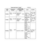 Referāts 'Treniņu plāna projekts. Veselības sports', 26.