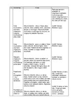 Referāts 'Treniņu plāna projekts. Veselības sports', 28.