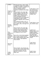 Referāts 'Treniņu plāna projekts. Veselības sports', 29.