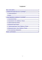 Prakses atskaite 'Экономическая характеристика АО "Latvenergo"', 2.