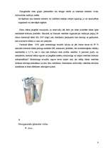 Prakses atskaite 'Dzeramā ūdens sagatavošana', 9.