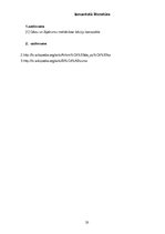 Referāts 'Kursa darbs gāzu un šķidrumu mehānikā', 20.