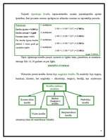 Referāts 'Līzings', 4.