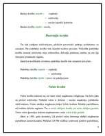 Referāts 'Līzings', 6.