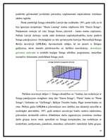 Referāts 'Līzings', 10.