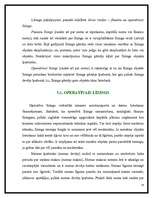 Referāts 'Līzings', 14.