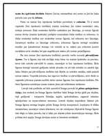 Referāts 'Līzings', 15.