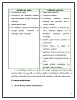 Referāts 'Līzings', 23.