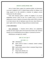 Referāts 'Līzings', 25.