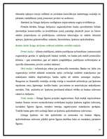 Referāts 'Līzings', 27.