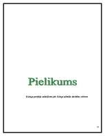 Referāts 'Līzings', 29.