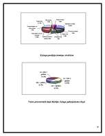Referāts 'Līzings', 30.