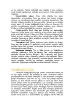 Referāts 'Senie laiki (Ēģipte, Divupe, Grieķija, Roma)', 19.