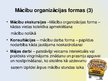 Prezentācija 'Mācību darba organizācijas formas', 6.