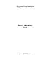 Referāts 'Fašisma raksturojums', 1.