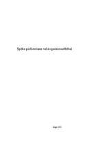 Referāts 'Spēka pielietošana valsts pašaizsardzībai', 1.