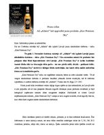 Eseja 'Preses relīze', 1.