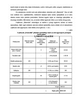 Biznesa plāns 'Pirts "Esmeralda"', 7.