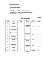 Biznesa plāns 'Pirts "Esmeralda"', 19.