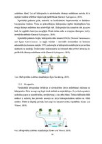 Diplomdarbs 'Vertikālās dārzeņu audzēšanas kontroliera izstrāde', 10.