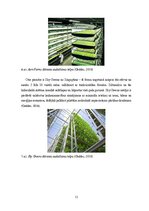 Diplomdarbs 'Vertikālās dārzeņu audzēšanas kontroliera izstrāde', 12.